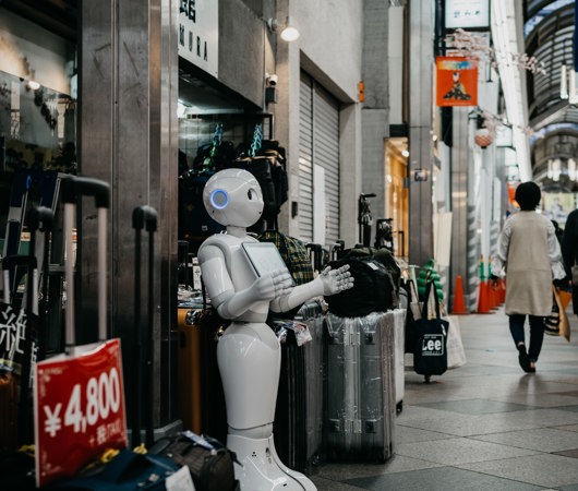 Training: artificial intelligence basis
